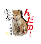 はるろんスタンプ（個別スタンプ：13）
