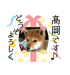 はるろんスタンプ（個別スタンプ：18）