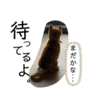 はるろんスタンプ（個別スタンプ：21）
