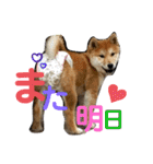 はるろんスタンプ（個別スタンプ：32）