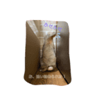 愛する息子たちよ（個別スタンプ：1）