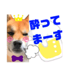 DonBE-1（個別スタンプ：2）