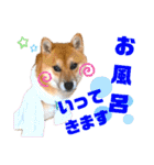 DonBE-1（個別スタンプ：8）