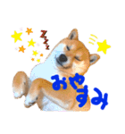 DonBE-1（個別スタンプ：11）