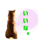 DonBE-1（個別スタンプ：15）