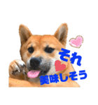 DonBE-1（個別スタンプ：28）