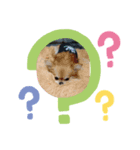 ひまとたん（個別スタンプ：6）