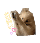 かわいいまめの1日（個別スタンプ：4）