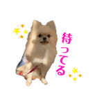 かわいいまめの1日（個別スタンプ：8）