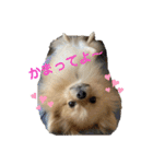 かわいいまめの1日（個別スタンプ：23）