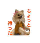 かわいいまめの1日（個別スタンプ：26）