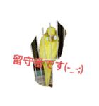 黄色セキセイインコ《小夏ちゃん》（個別スタンプ：6）