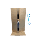 ビーグル ノアっち2（個別スタンプ：40）