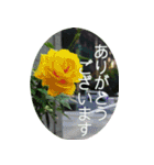 ＜敬語で挨拶＞お花のスタンプ（個別スタンプ：2）