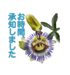 ＜敬語で挨拶＞お花のスタンプ（個別スタンプ：3）