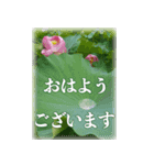 ＜敬語で挨拶＞お花のスタンプ（個別スタンプ：4）