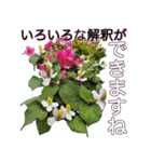＜敬語で挨拶＞お花のスタンプ（個別スタンプ：8）