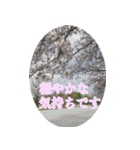 ＜敬語で挨拶＞お花のスタンプ（個別スタンプ：15）