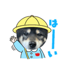 ジャッキーくん⭐︎（個別スタンプ：3）