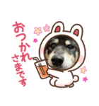 ジャッキーくん⭐︎（個別スタンプ：7）