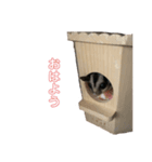 Smomochan（個別スタンプ：3）