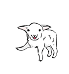ドキドキ子羊（個別スタンプ：1）