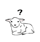 ドキドキ子羊（個別スタンプ：11）