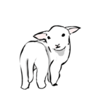 ドキドキ子羊（個別スタンプ：13）
