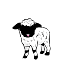 ドキドキ子羊（個別スタンプ：14）
