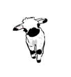 ドキドキ子羊（個別スタンプ：15）