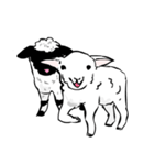 ドキドキ子羊（個別スタンプ：17）