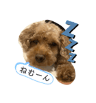 すもももスタンプ（個別スタンプ：4）