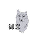 柴犬好きなあなたに（個別スタンプ：16）