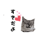 syamutola（個別スタンプ：4）
