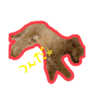 愛犬ロイロイ（個別スタンプ：7）