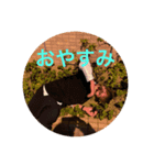 クリスの日常で使えるスタンプ1（個別スタンプ：4）