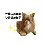 まいにちリッキー。（個別スタンプ：20）