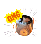 さくファミスタンプ（個別スタンプ：9）