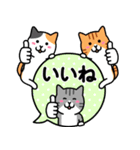 飛び出す！ねこワールド2 (吹き出し編)（個別スタンプ：8）