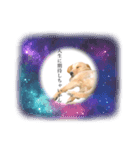 絶対に使い道のないスタンプ（個別スタンプ：5）