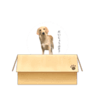 絶対に使い道のないスタンプ（個別スタンプ：6）