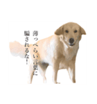 絶対に使い道のないスタンプ（個別スタンプ：7）