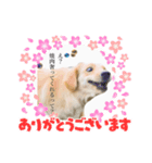 絶対に使い道のないスタンプ（個別スタンプ：8）