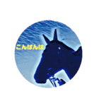 海外の競馬場その2（個別スタンプ：12）