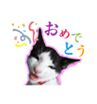 ぶっさんスタンプ(幼少期)（個別スタンプ：11）