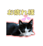 ぶっさんスタンプ(幼少期)（個別スタンプ：12）
