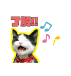 ぶっさんスタンプ(幼少期)（個別スタンプ：17）