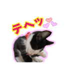 ぶっさんスタンプ(幼少期)（個別スタンプ：21）
