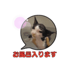 ぶっさんスタンプ(幼少期)（個別スタンプ：24）