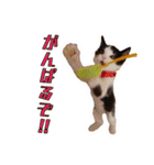 ぶっさんスタンプ(幼少期)（個別スタンプ：31）
